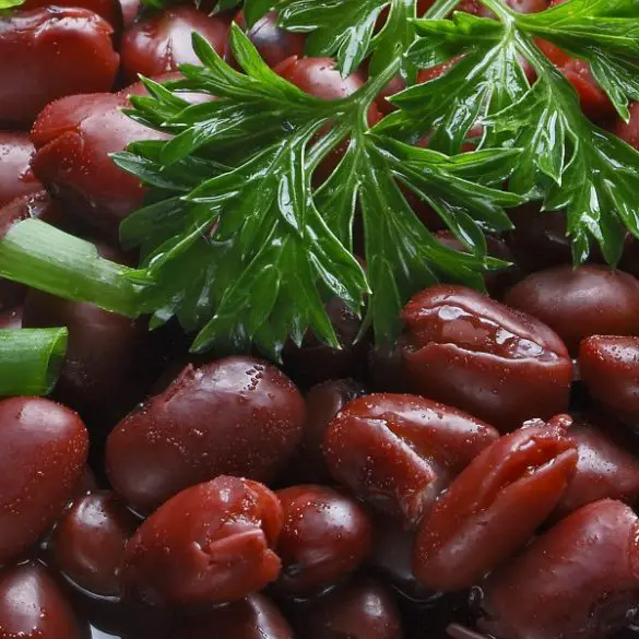 Instant pot cooked red kidney beans recipe. Red beans cooked in an electric instant pot taste even better than canned. #pressurecooker #instantpot #vegan #vegetarian #healthy #dinner #homemade #beans