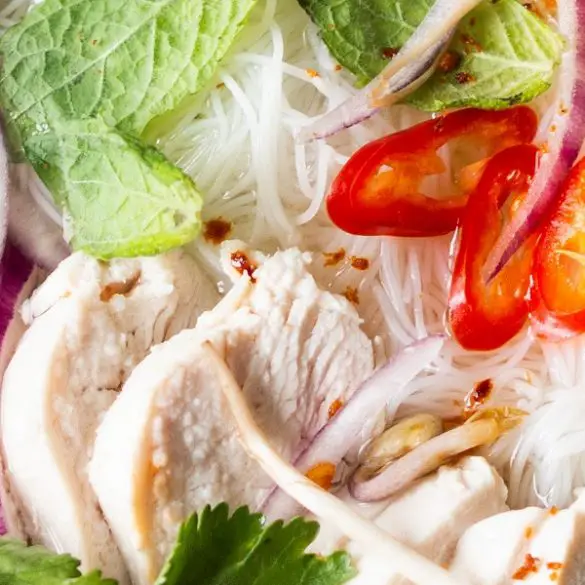 Instant Pot Vietnamese Pho soup recipe. Chicken with vegetables, beans, and spices cooked in an electric instant pot. #instantpot #pressurecooker #vietnamese #soup #chicken #healthy