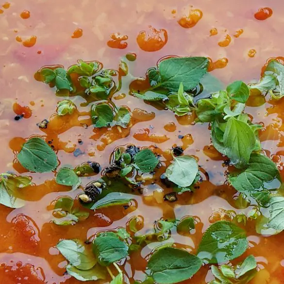 Instant pot red lentil tomato soup. Learn how to cook healthy vegetarian soup in an electric instant pot. #instantpot #pressurecooker #soup #dinner #healthy #vegetarian #vegan