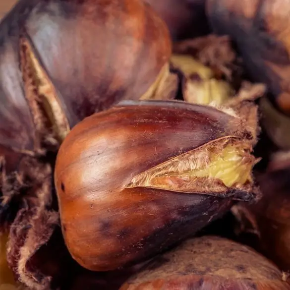 Air fryer chestnuts: delicious and easy holiday treat. Chestnuts are the quintessential holiday treat. #airfryer #chestnuts #holiday #appetizers #party #vegetarian #vegan #healthy